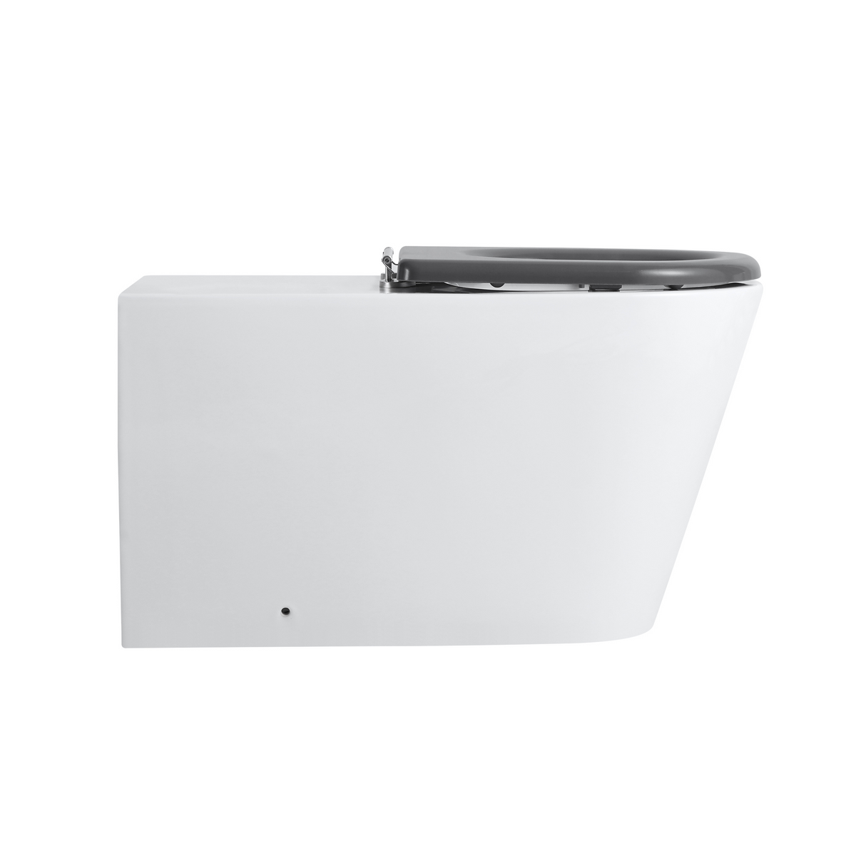 Ultra Access Rimless Floor Mounted Pan with Niche In-Wall Cistern and Push Plate