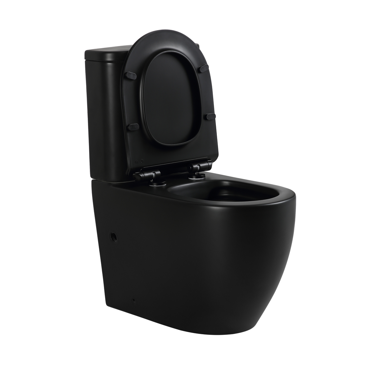 Mini Cyclone Back-to-Wall Toilet Suite in Matte Black