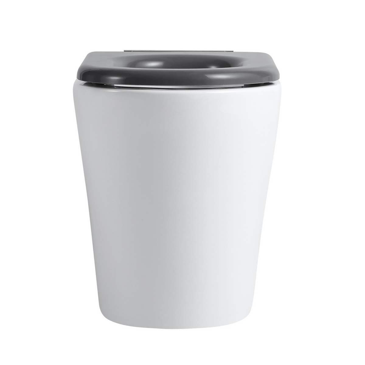 Ultra Access Rimless Floor Mounted Pan with Niche In-Wall Cistern and Push Plate
