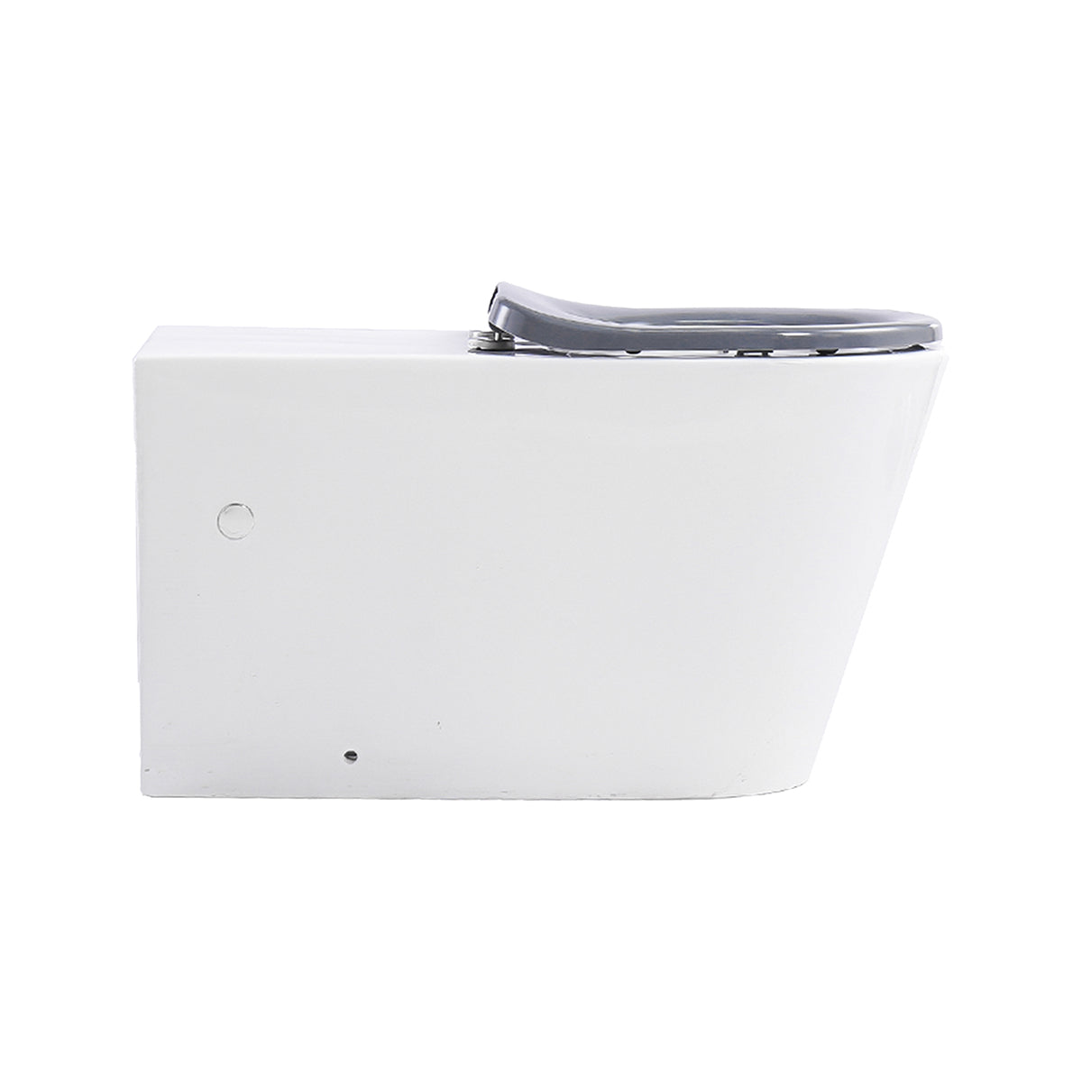 Ultra Access Rimless Floor Mounted Pan with Niche In-Wall Cistern and Push Plate