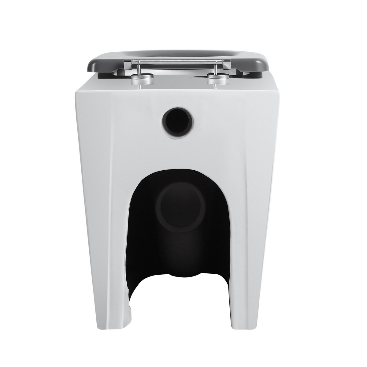 Ultra Access Rimless Floor Mounted Pan with Niche In-Wall Cistern and Push Plate
