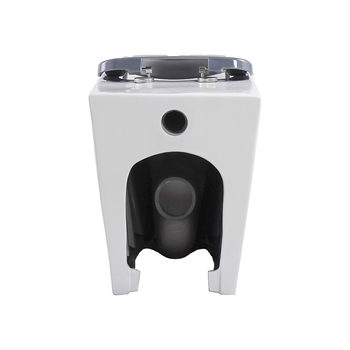 Ultra Access Rimless Floor Mounted Pan with Niche In-Wall Cistern and Push Plate