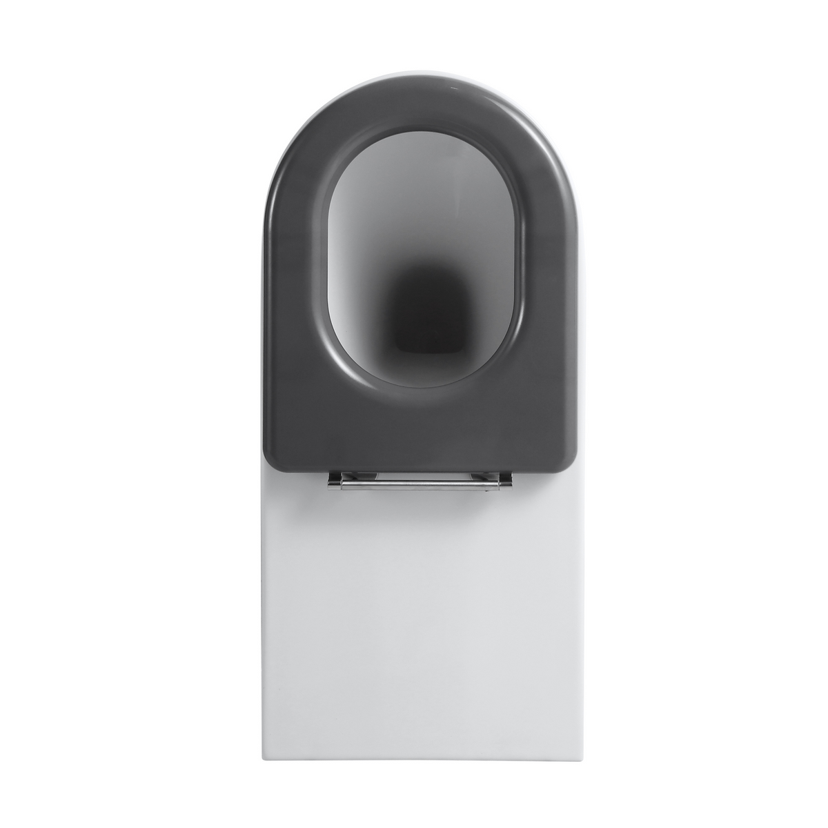 Ultra Access Rimless Floor Mounted Pan with Niche In-Wall Cistern and Push Plate