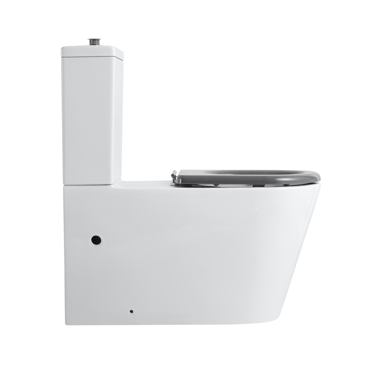 Ultra Access Back-to-Wall Rimless Flushing Accessible Toilet in Gloss White