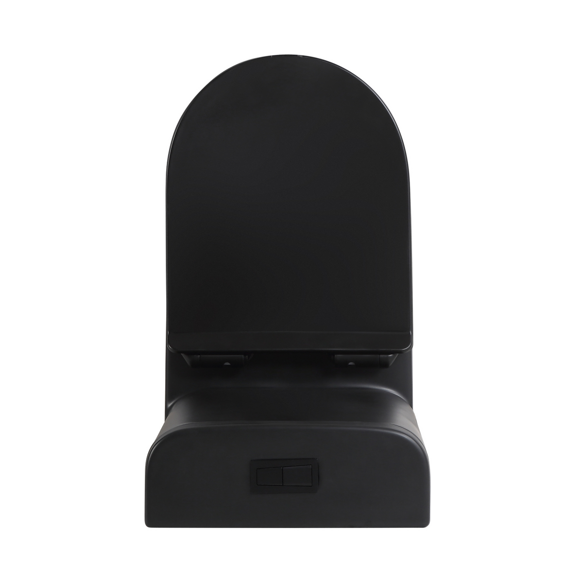Mini Cyclone Back-to-Wall Toilet Suite in Matte Black