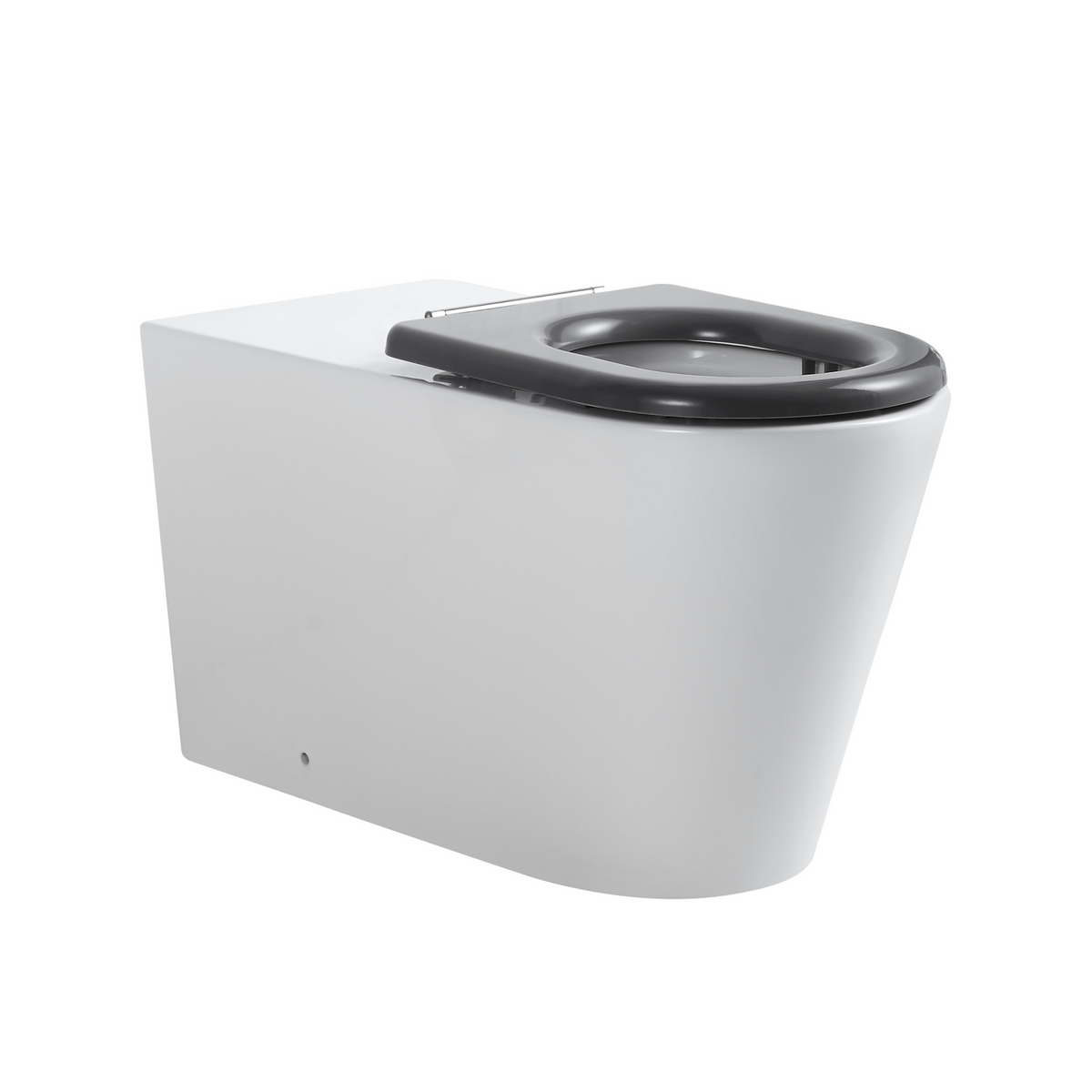 Ultra Access Rimless Floor Mounted Pan with Niche In-Wall Cistern and Push Plate