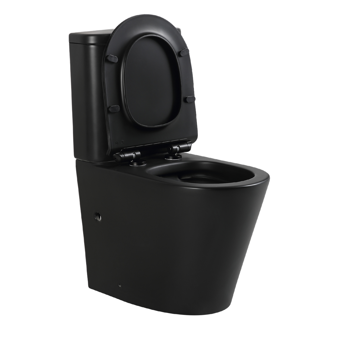 Snubby Back-to-Wall Toilet Suite in Matte Black