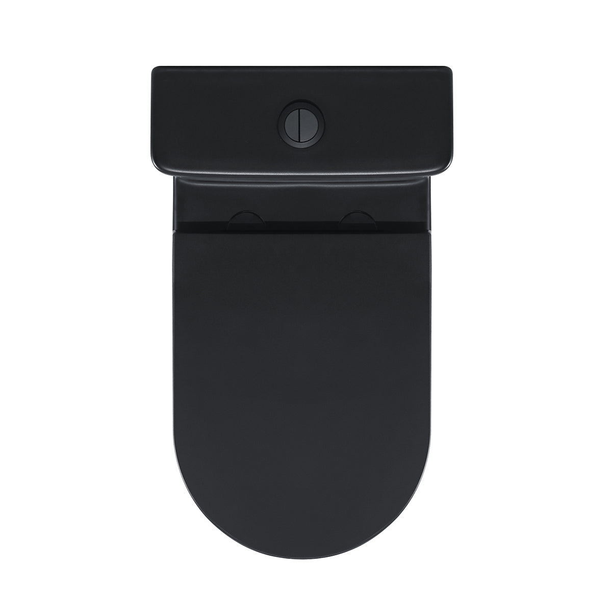 Hurricane Zero Rim Back-to-Wall Toilet Suite in Matte Black