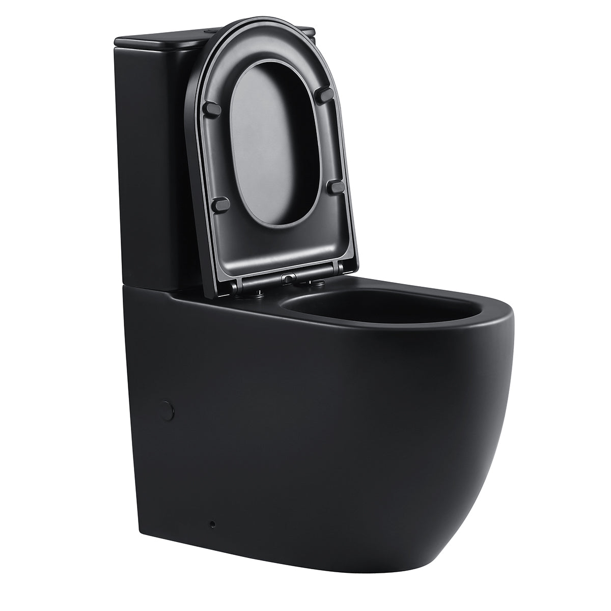 Hurricane Zero Rim Back-to-Wall Toilet Suite in Matte Black