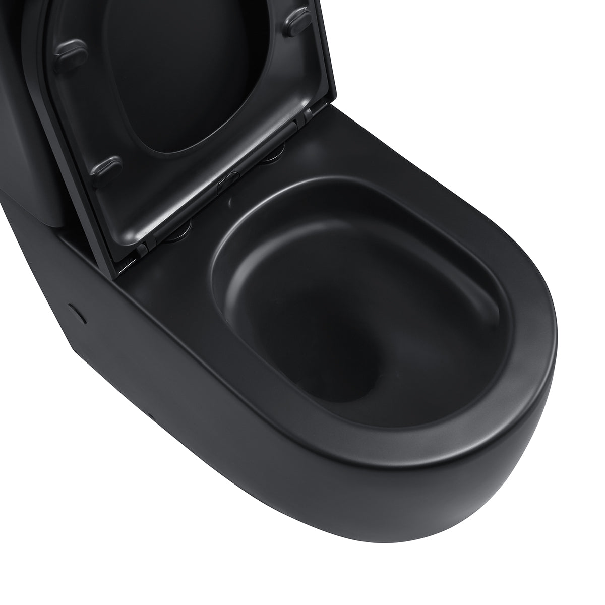 Hurricane Zero Rim Back-to-Wall Toilet Suite in Matte Black