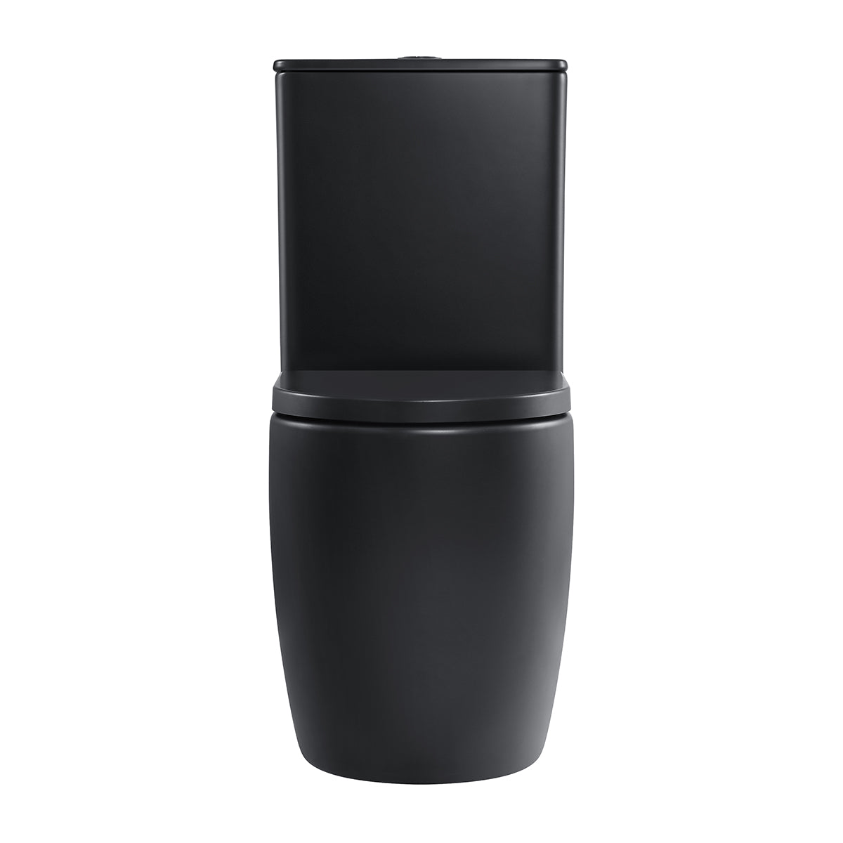 Hurricane Zero Rim Back-to-Wall Toilet Suite in Matte Black