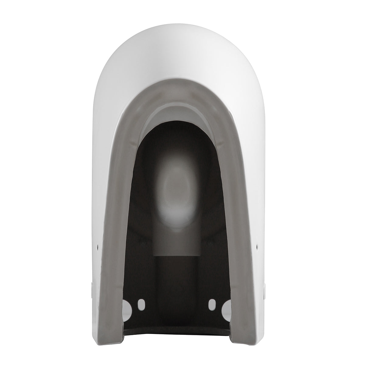 Hurricane Zero Rim Back-to-Wall Toilet Suite in Matte White