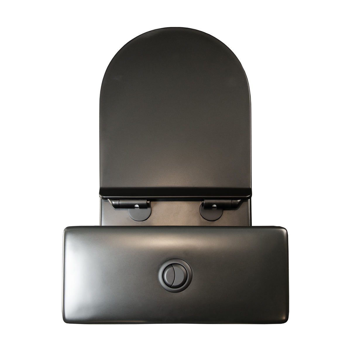 Hurricane Back-to-Wall Toilet Suite in Matte Black