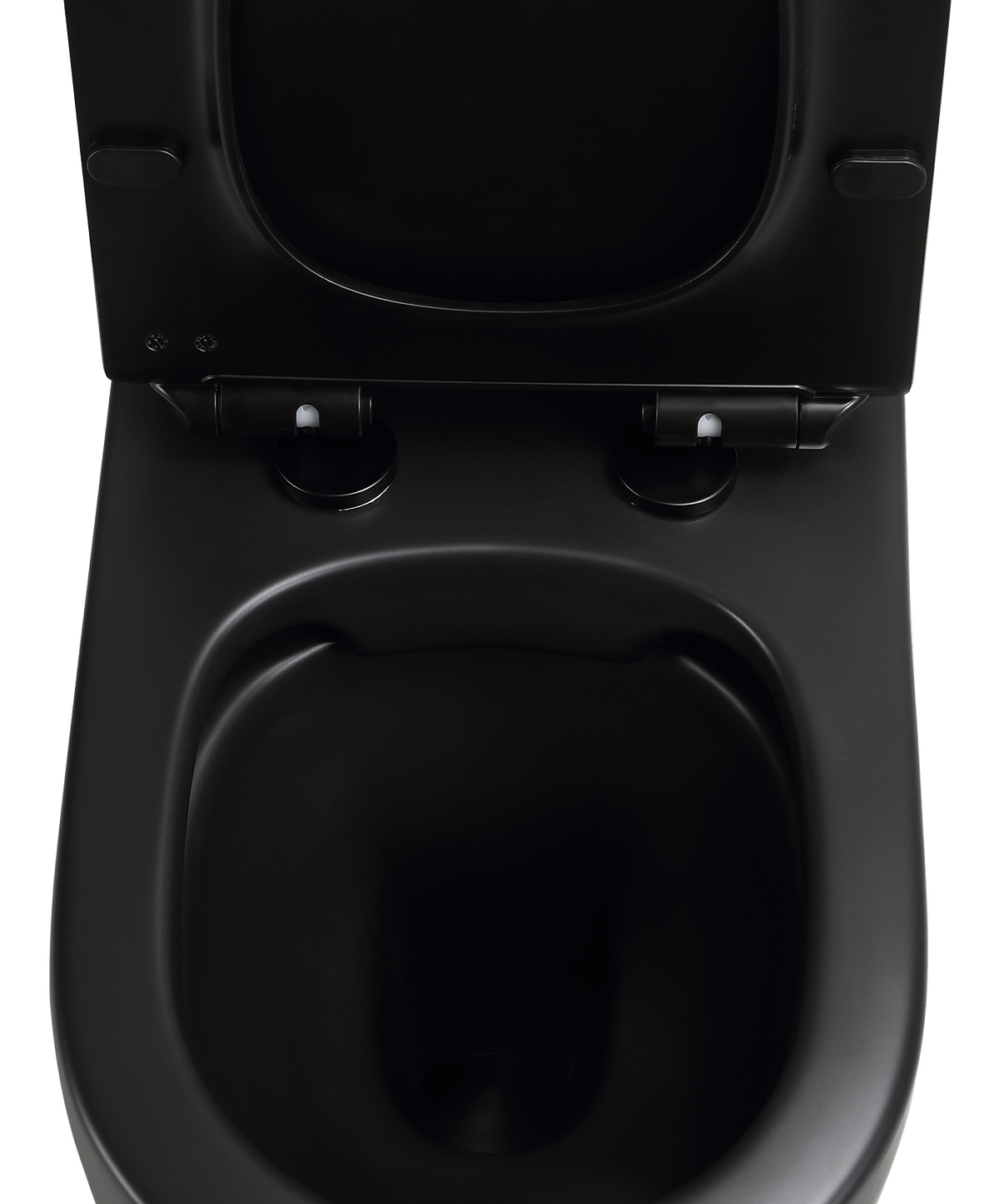 Mini Cyclone Back-to-Wall Toilet Suite in Matte Black