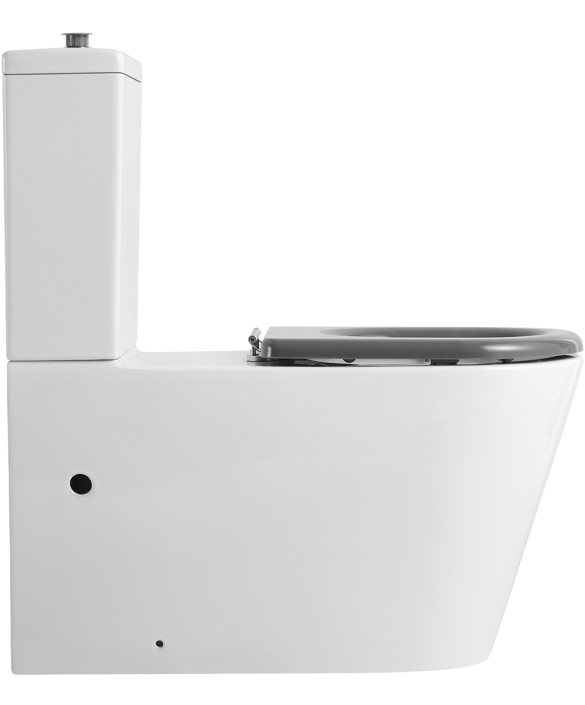 Ultra Access Back-to-Wall Rimless Flushing Accessible Toilet in Gloss White