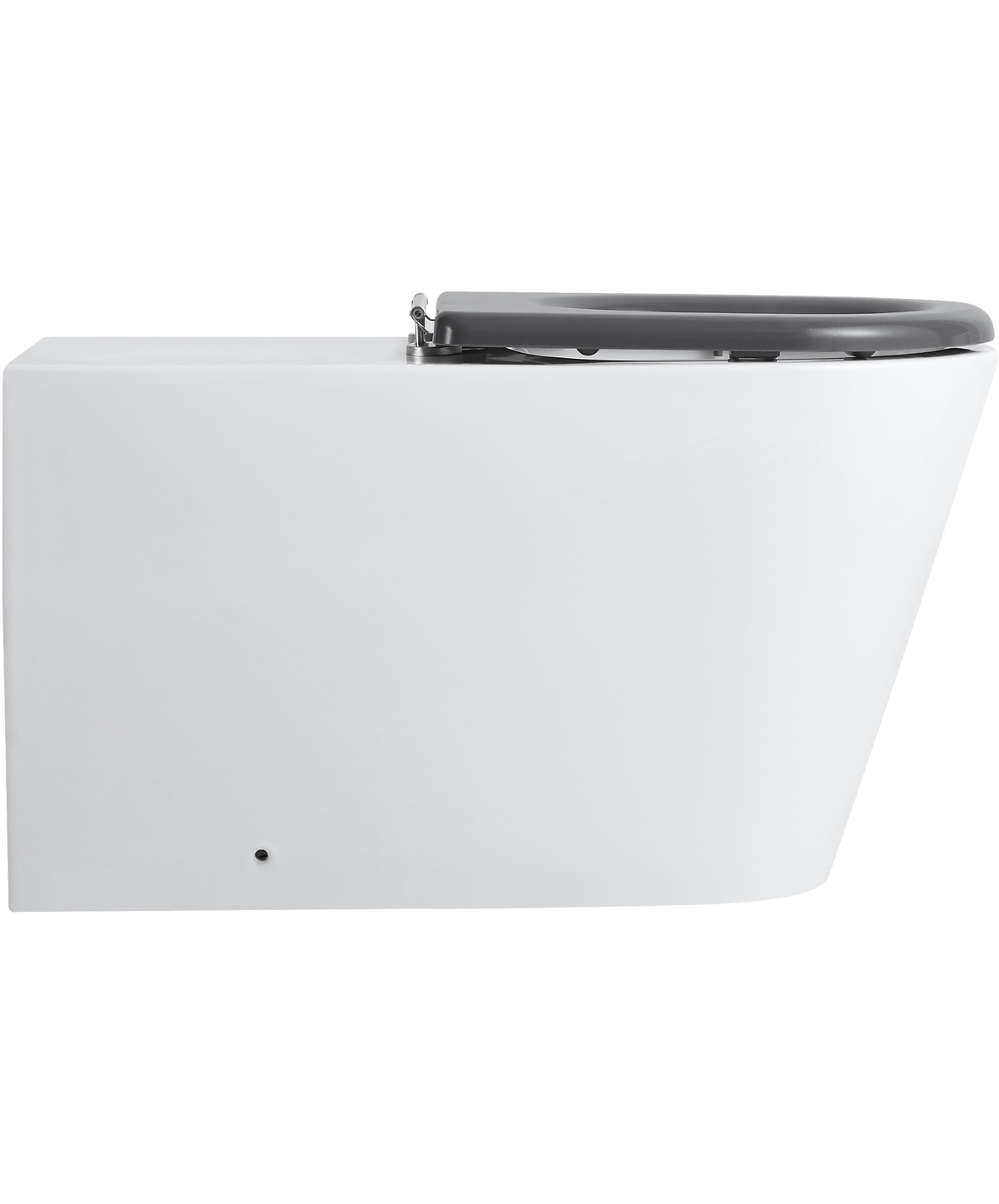 Ultra Access Rimless Floor Mounted Pan with Niche In-Wall Cistern and Push Plate